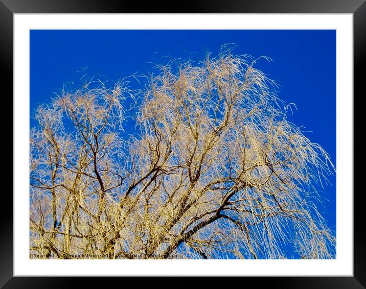 Willow tree Framed Mounted Print by Stephanie Moore