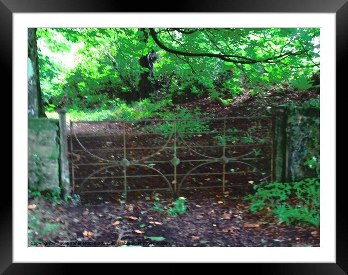 Old farm gate Framed Mounted Print by Stephanie Moore