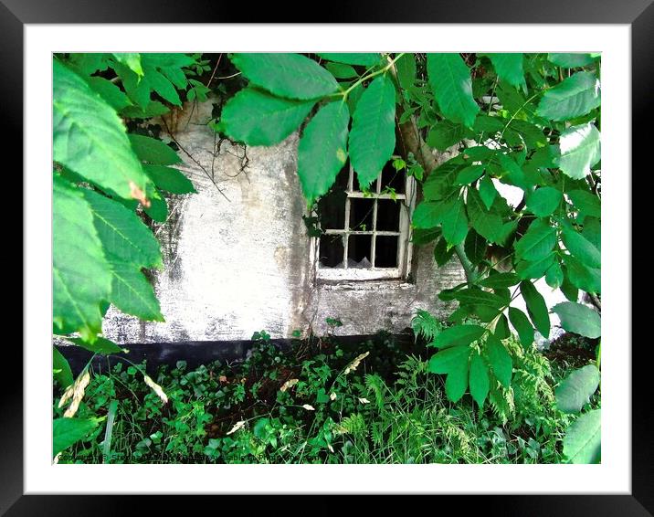 Hidden and overgrown Framed Mounted Print by Stephanie Moore