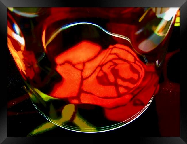 Abstract red rose Framed Print by Stephanie Moore