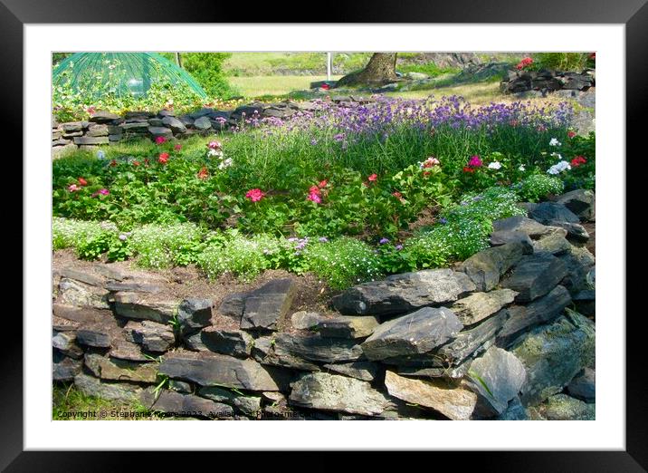 Rock Garden Framed Mounted Print by Stephanie Moore