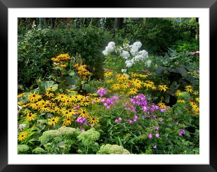 Colourful garden Framed Mounted Print by Stephanie Moore