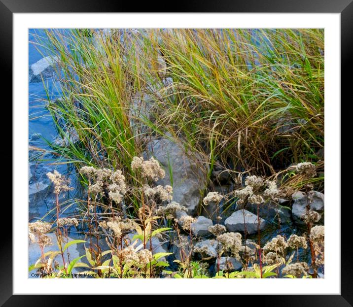Plants rocks river Framed Mounted Print by Stephanie Moore