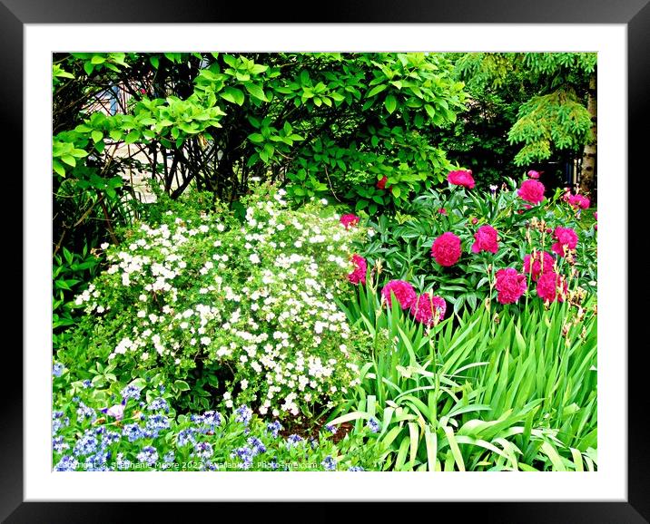 Beautiful garden Framed Mounted Print by Stephanie Moore