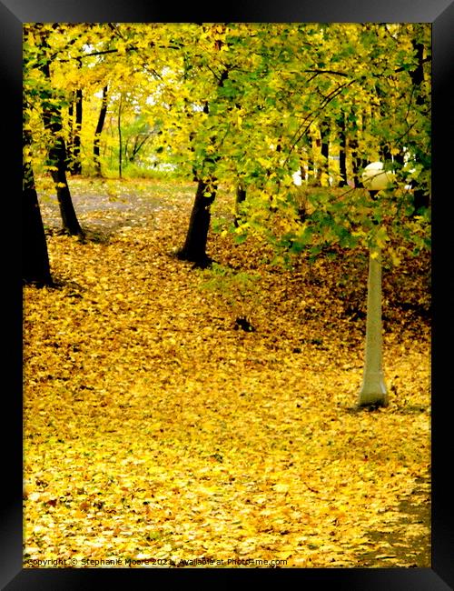 Golden path Framed Print by Stephanie Moore