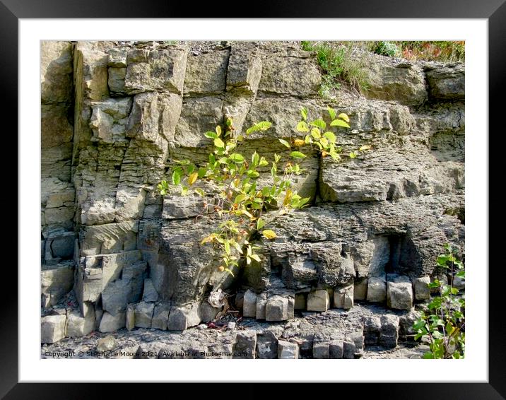 Cliffs along the Ottawa River Framed Mounted Print by Stephanie Moore