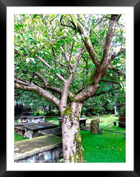 Ancient Churchyard Framed Mounted Print by Stephanie Moore