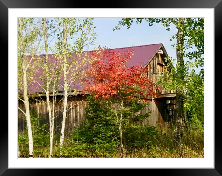 Another view of the Purple barn Framed Mounted Print by Stephanie Moore