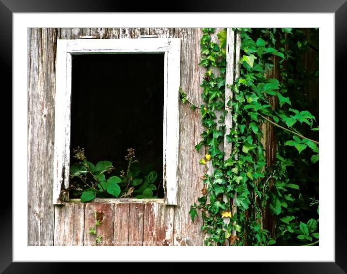 Overgrown Window Framed Mounted Print by Stephanie Moore