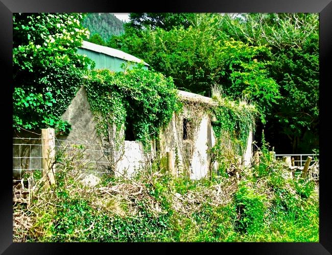 Another abandoned barn Framed Print by Stephanie Moore