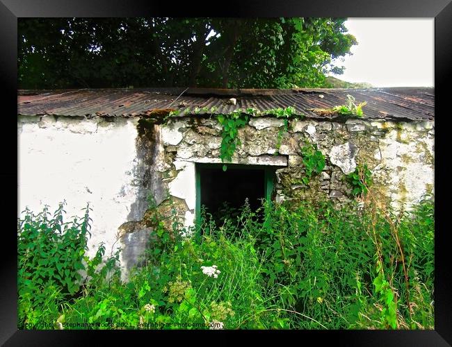 Another abandoned shed Framed Print by Stephanie Moore