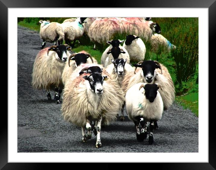 Flock of sheep on a country road Framed Mounted Print by Stephanie Moore