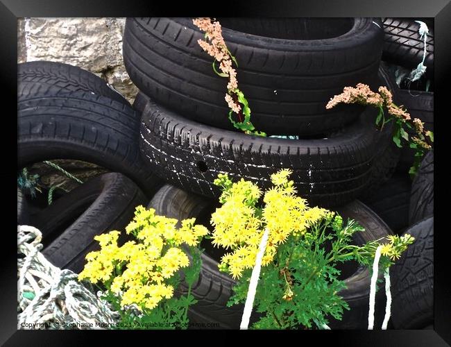 Tires, ropes and flowers Framed Print by Stephanie Moore