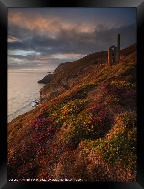 Cornish view at sunset Framed Print by Nik Taylor