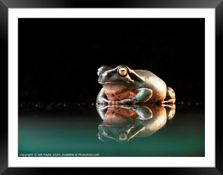 Happy frog Framed Mounted Print by Nik Taylor
