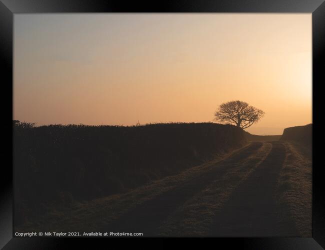 Farm track at sunrise Framed Print by Nik Taylor
