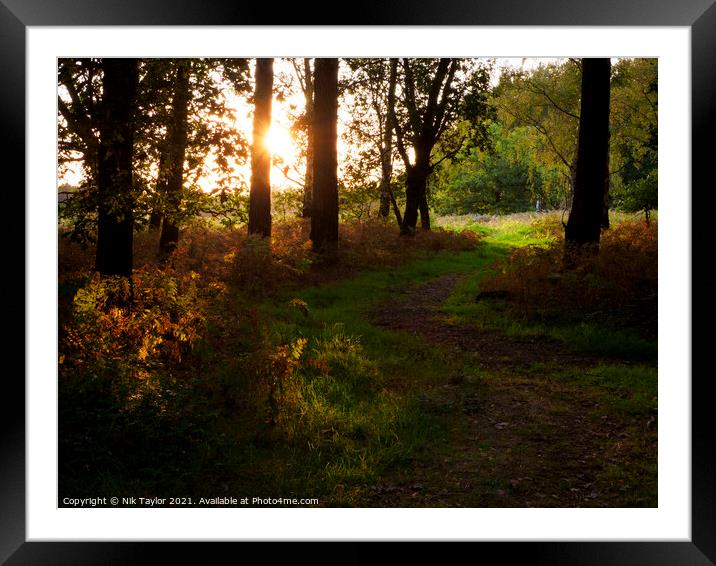 Footpath at Sunset Framed Mounted Print by Nik Taylor