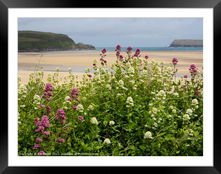 wild red valerian plants Framed Mounted Print by Nik Taylor