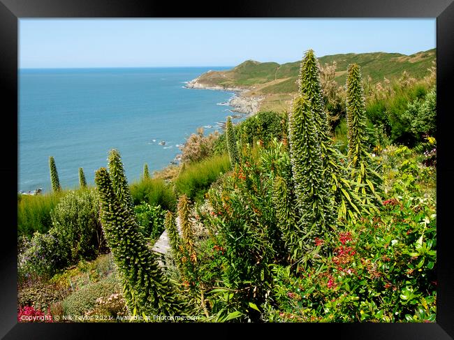 Woolacombe Framed Print by Nik Taylor