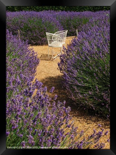 Love seat amongst lavender Framed Print by Nik Taylor