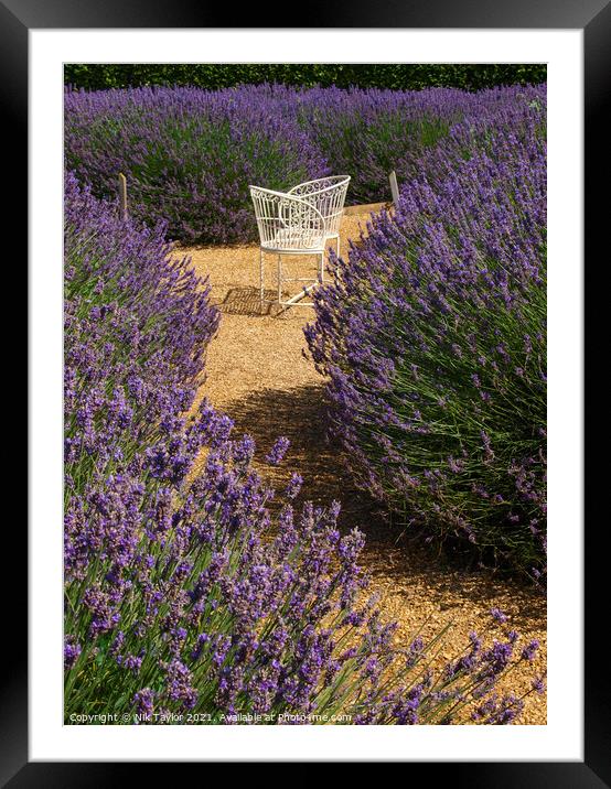 Love seat amongst lavender Framed Mounted Print by Nik Taylor