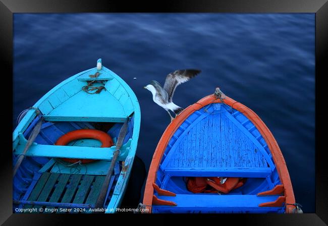 Colorful Fishing Boats and a Little Visitor Framed Print by Engin Sezer