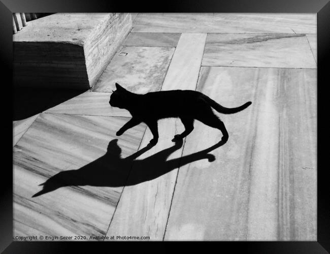 Black Cat and Shadow on Marble Floor Framed Print by Engin Sezer