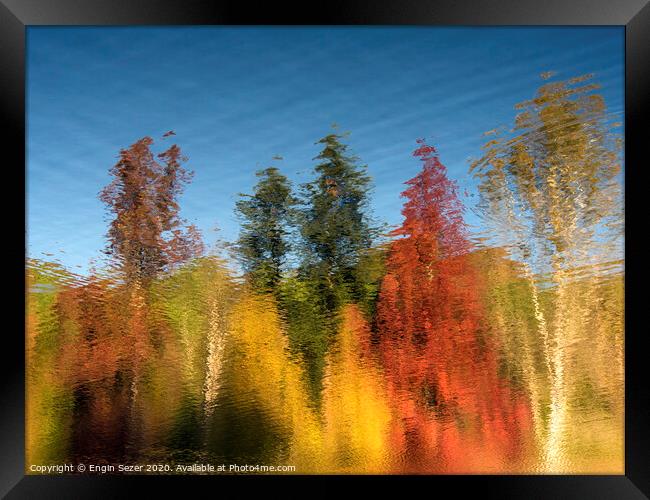 Reflections of Autumn Trees on Water Surface Framed Print by Engin Sezer