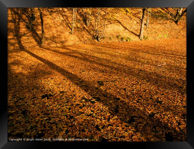 Lake of Autumn Leaves Framed Print by Engin Sezer