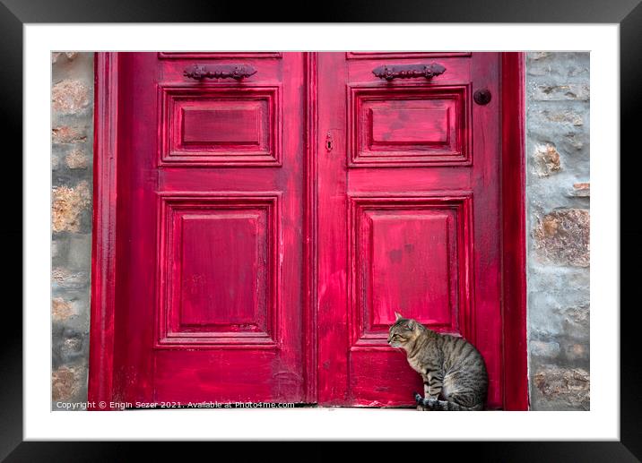 Cute Tabby Cat is Sitting Beside Red Wooden House Door Framed Mounted Print by Engin Sezer