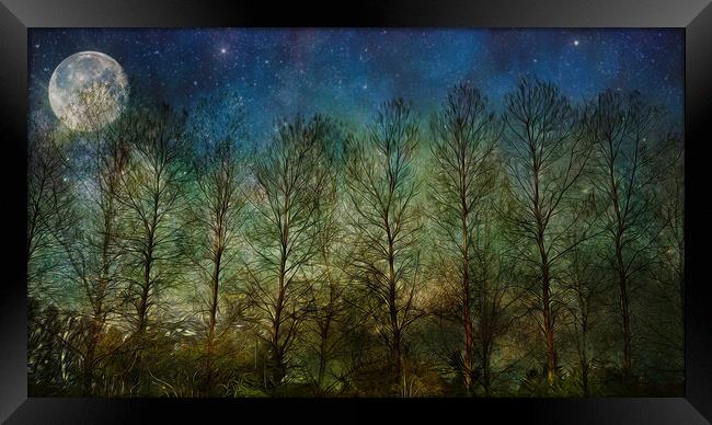 NIGHT SKY TREES MOON & STARS Framed Print by LG Wall Art