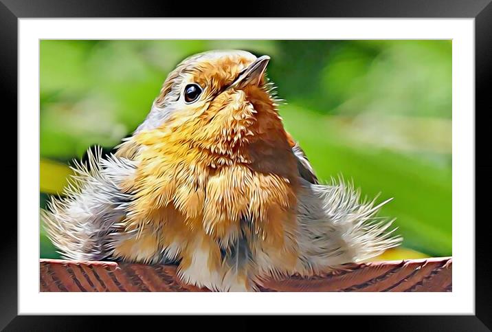 ROBIN CHICK Framed Mounted Print by LG Wall Art