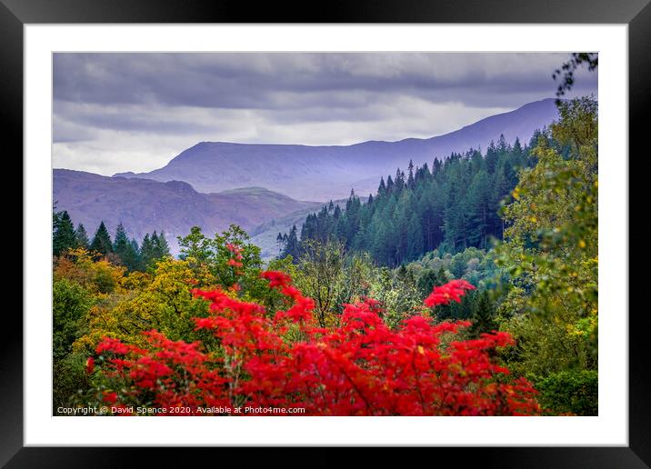 Seeing Red in the beautiful North Wales mountains  Framed Mounted Print by David Spence