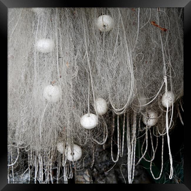 Drying Fishing Nets Framed Print by Alexandra Lavizzari