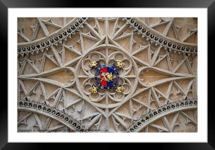 A Ceiling Like Lace Framed Mounted Print by Alexandra Lavizzari