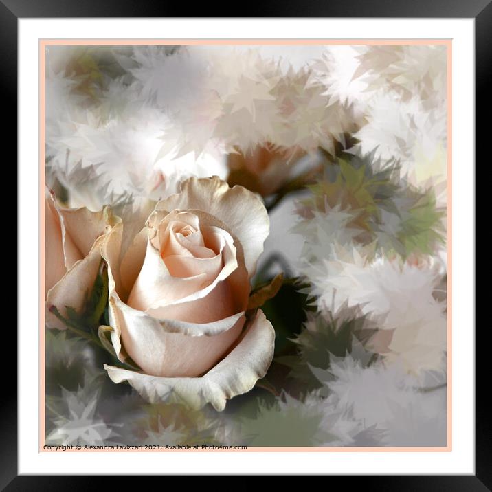 A Delicate Rose Framed Mounted Print by Alexandra Lavizzari