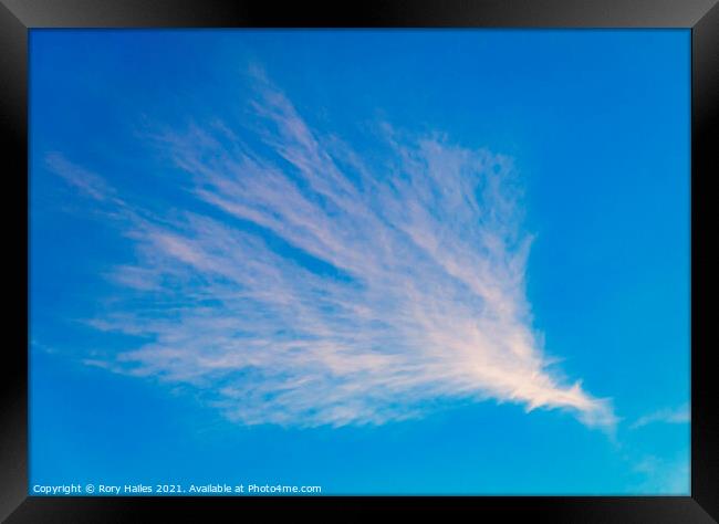Cirrus cloud Framed Print by Rory Hailes
