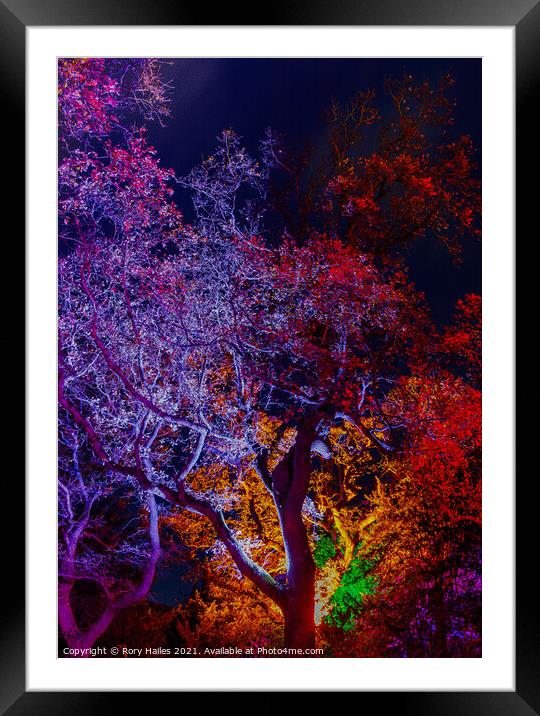 Trees or lit up with colourful lights with oil pai Framed Mounted Print by Rory Hailes