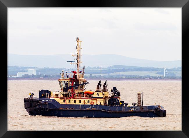 Svitzer Hawk Framed Print by Rory Hailes