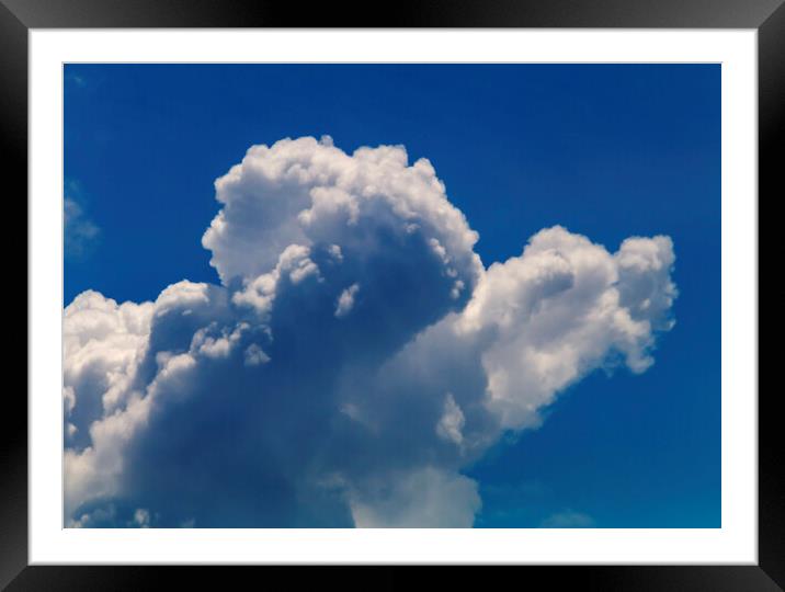 Cumulus cloud Framed Mounted Print by Rory Hailes