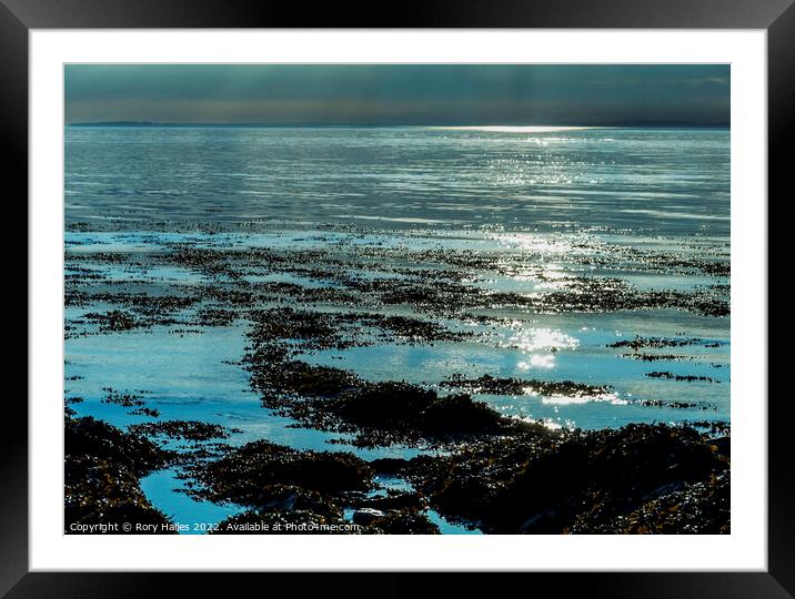 Sunlight reflection Framed Mounted Print by Rory Hailes
