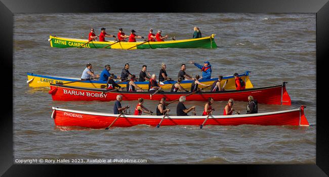 Clevedon Pilot Gig Regatta 2023 on the start line ready to go Framed Print by Rory Hailes