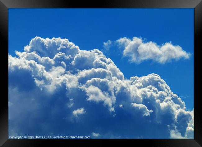 Fluffy cumulus cloud Framed Print by Rory Hailes
