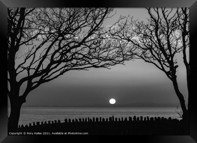 Sunset with trees in silhouette Framed Print by Rory Hailes