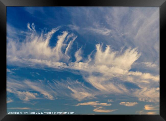 Cirrus cloud against a blue sky Framed Print by Rory Hailes