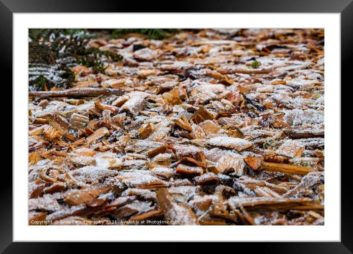 Close up of white frost covered wood chips in winter Framed Mounted Print by SnapT Photography