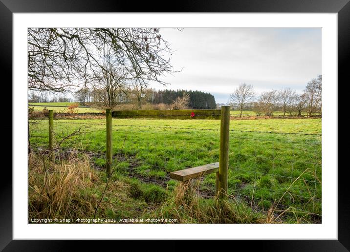 A poppy fixed to a fence style on a countryside trail Framed Mounted Print by SnapT Photography