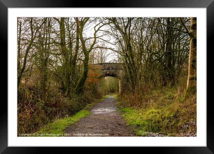 Trail through a broadleaf woodland in Scotland, with a bridge in the background Framed Mounted Print by SnapT Photography