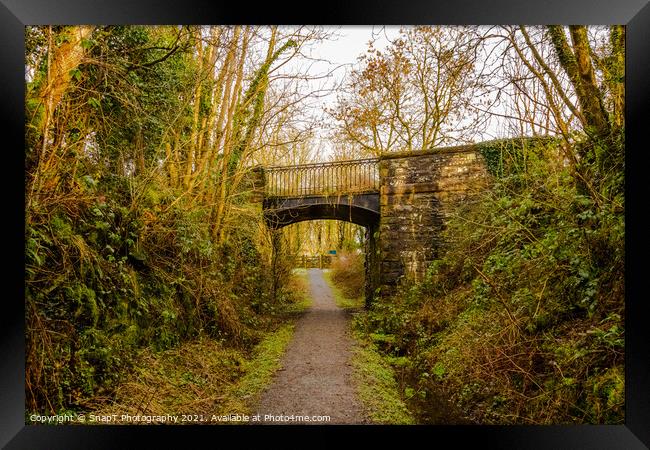 Road bridge at Lodge of Kelton over the old Paddy Line or Galloway railway line Framed Print by SnapT Photography