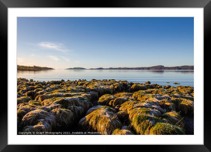 Frost covered grass on the coastline of Kirkcudbright bay at low tide Framed Mounted Print by SnapT Photography
